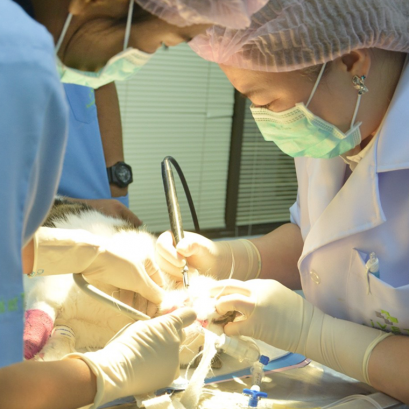 ศูนย์การแพทย์เฉพาะด้านทันตกรรม